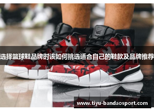 选择篮球鞋品牌时该如何挑选适合自己的鞋款及品牌推荐